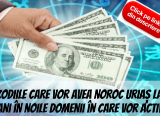Zodiile care vor avea noroc uriaș la bani în noile domenii în care vor activa!